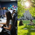 education versus bootcamp options
